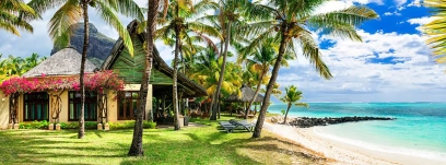 Rhum de La Réunion : guide des meilleures cuvées 2026